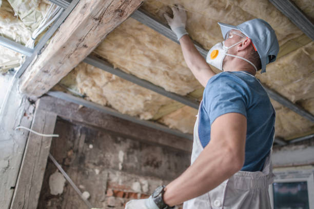 Best Insulation Removal  in Friedens, PA